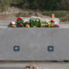 Planter bollard with flowers
